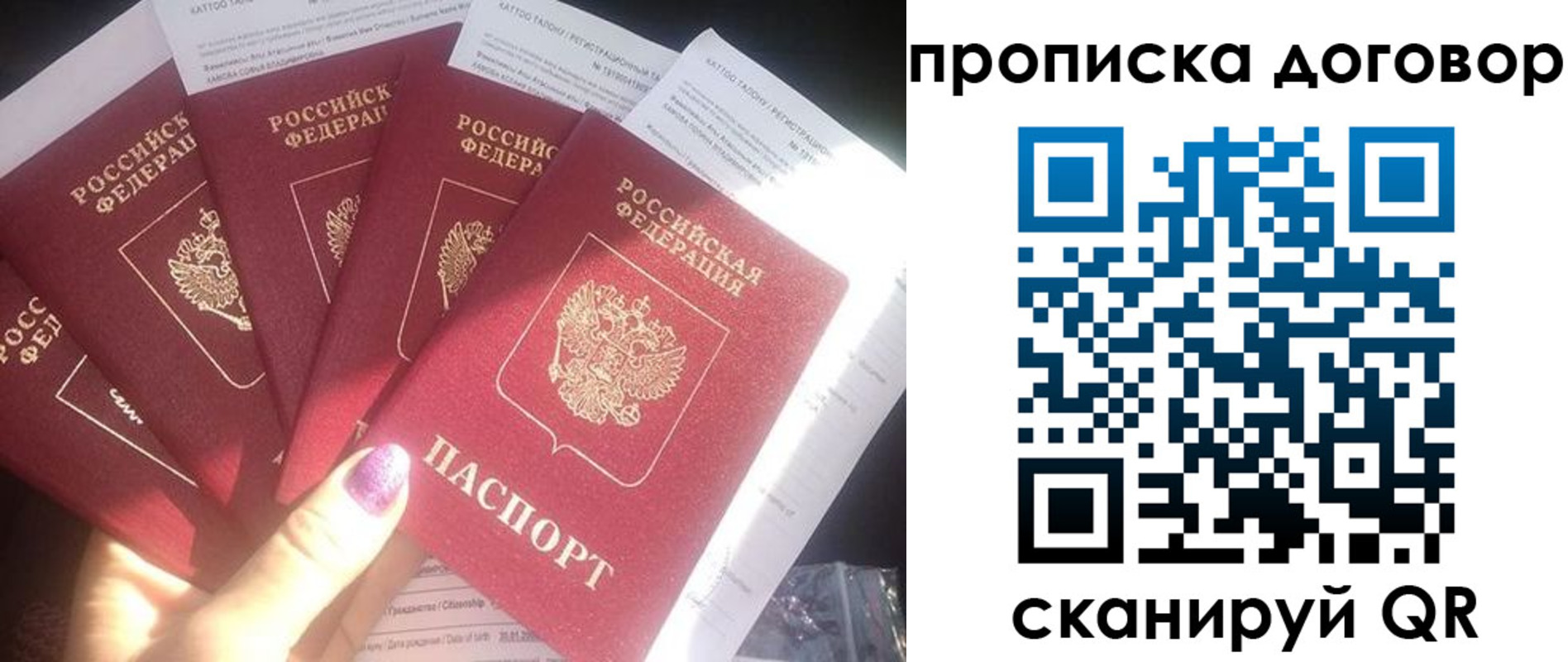где прописаться в Сертолово