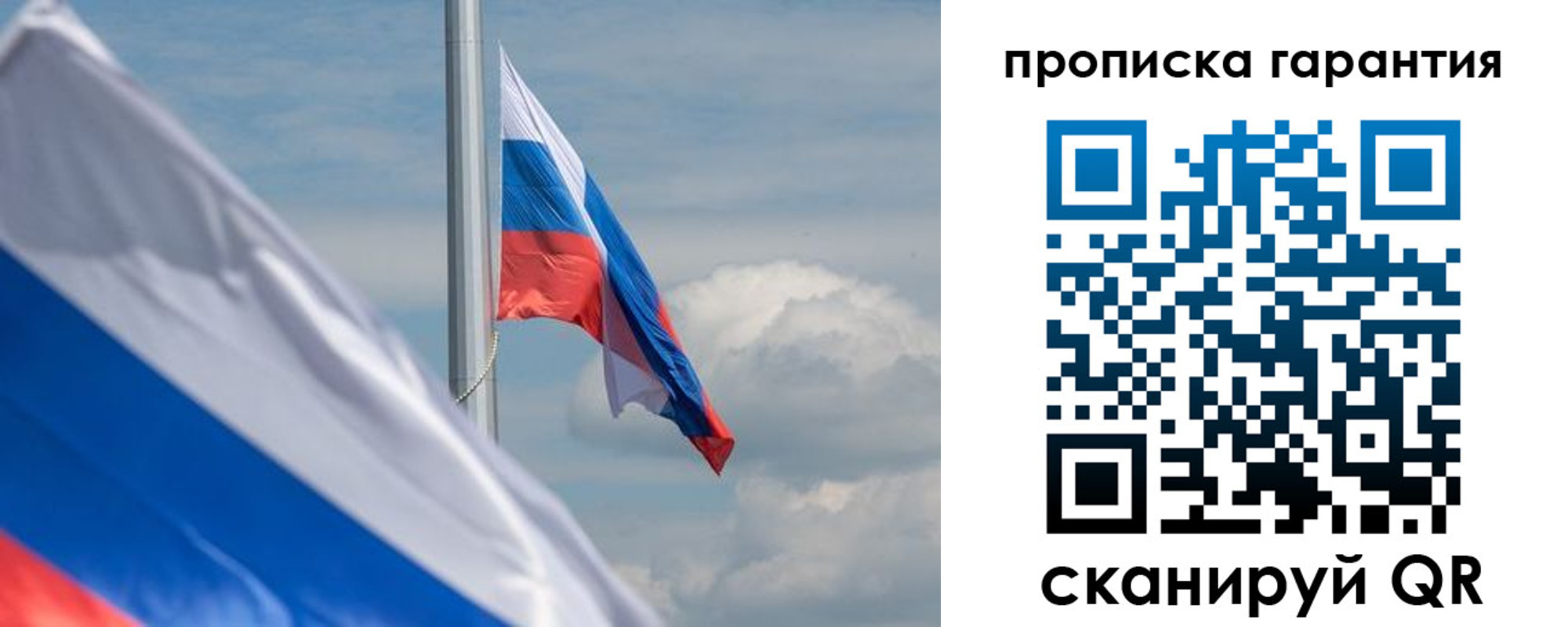 прописка поиск в Сертолово